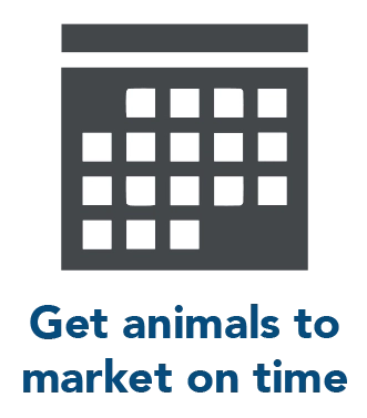 Get animals to market on time
